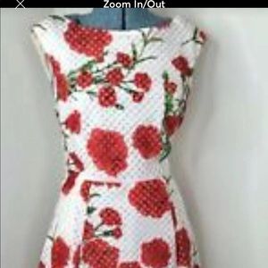 Betsey Johnson midi dress